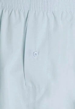 Pier One 5 Pack - Boxershorts - Light Blue/White 15 Pier One 5 Pack - Boxershorts - Light Blue/White -Moderne Klaer 8d526a81d413439291c57bcecfa7d443